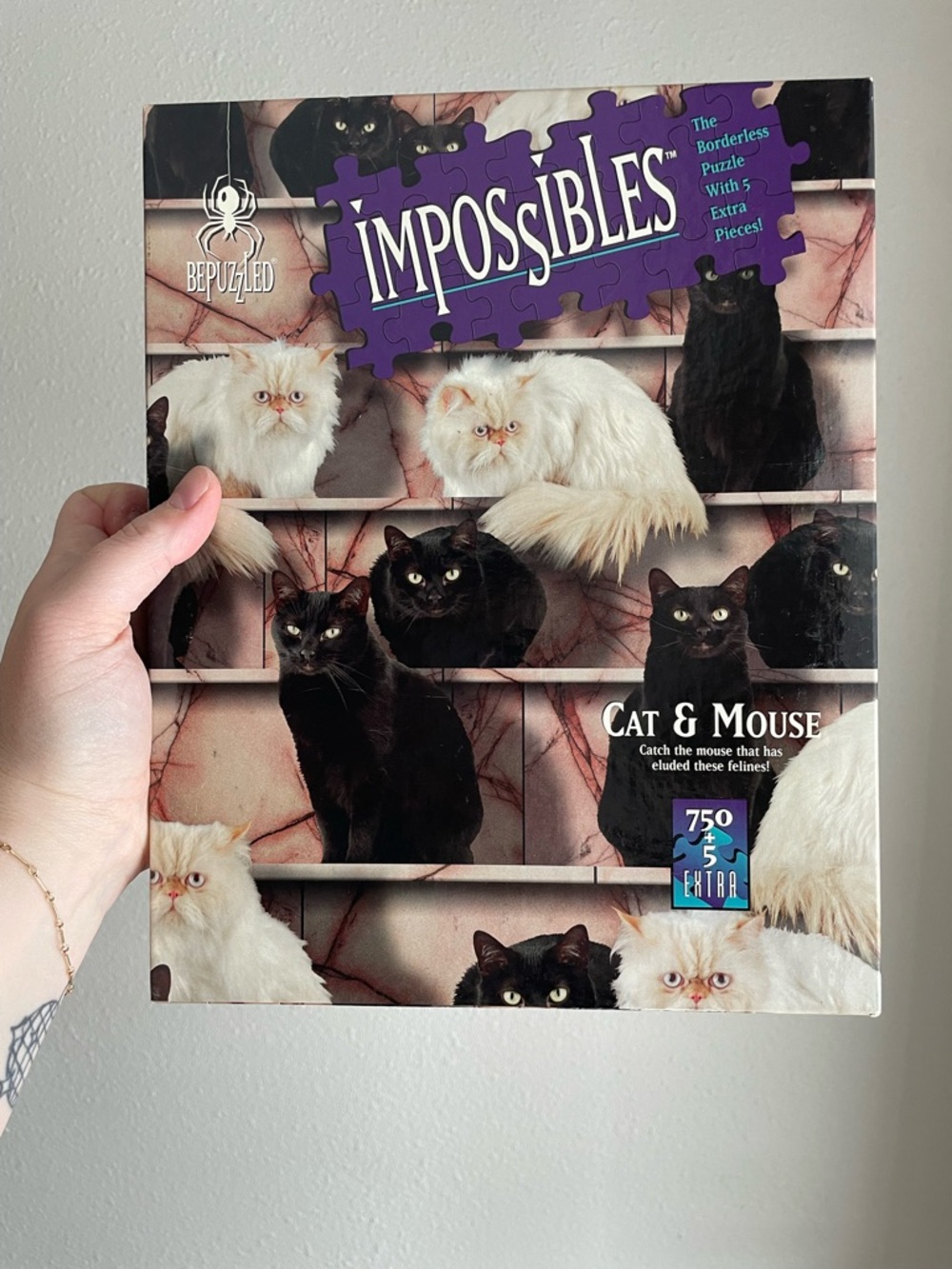 Impossibles Cat & Mouse Puzzle - Borderless Puzzle